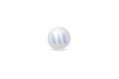 Management Information Systems: Advantages and Work Fields